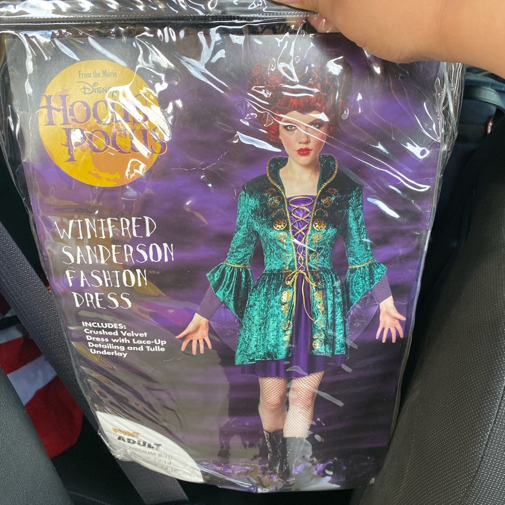 Hocus Pocus women’s costume